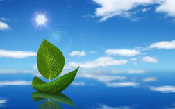 1 1590970892198240054965 crop 1590970899810833162939