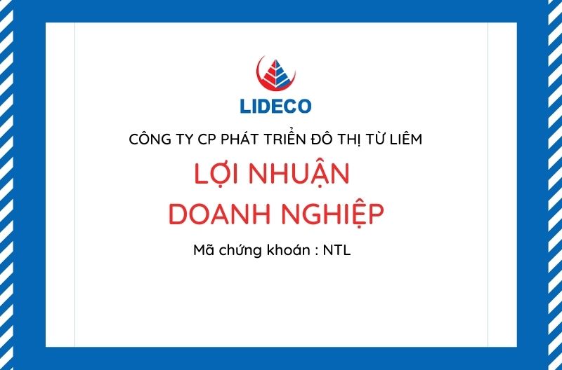 Bia Loi nhuan DN