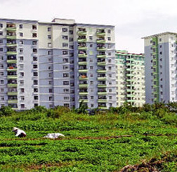 ai dang gom co phieu bat dong san