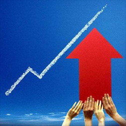 cac quy thuoc vfm mua manh sjs va ntl