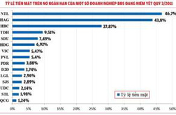 doanh nghiep bat dong san va ngan hang cung go thanh khoan