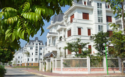 dsc8009 15555507317061283395935 crop 1555550741518129739117