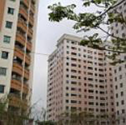 ntl loi nhuan quy iii dat 63 ty dong gap 3 lan 2 quy truoc