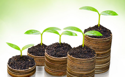 q 15840072351981798021258 crop 1584007241732686005240